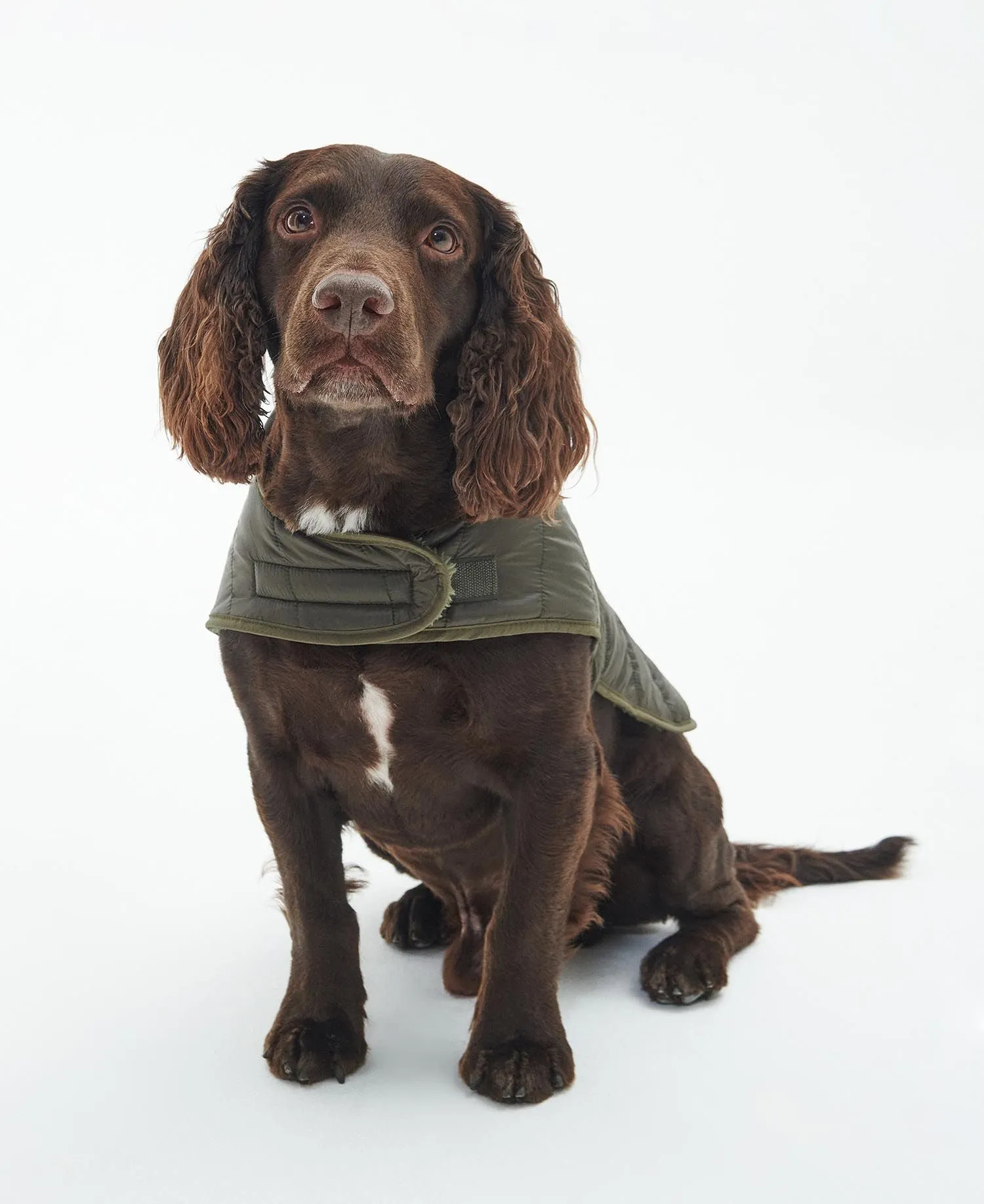 Barbour Baffle Quilted Dog Coat Dark Olive