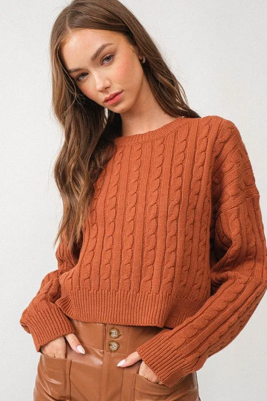 Kendall Cable Knit Crop Sweater Top
