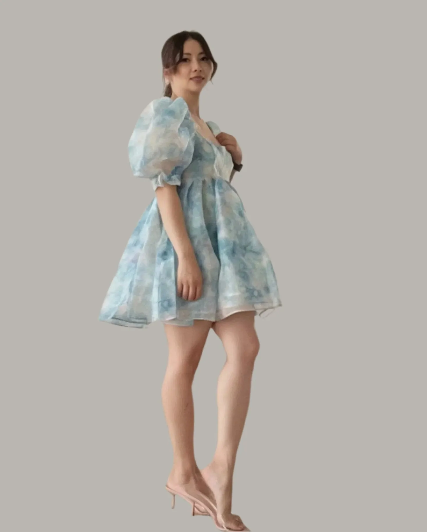 Sylvie Organza Dress